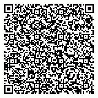 vCard 79138293147