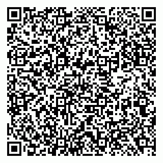 vCard 79138293148