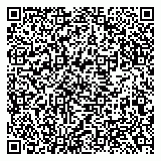 vCard 79138293151