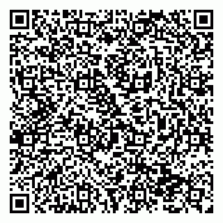 vCard 79138293152