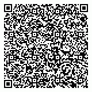 vCard 79138293153