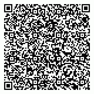 vCard 79138293155