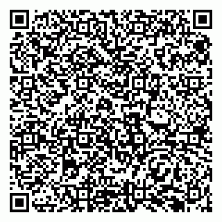vCard 79138293161