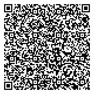 vCard 79138293167