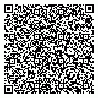 vCard 79138293168