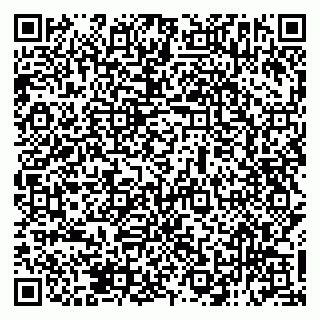 vCard 79138293171