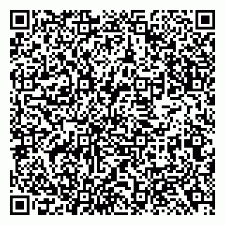 vCard 79138293173