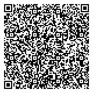vCard 79138293174