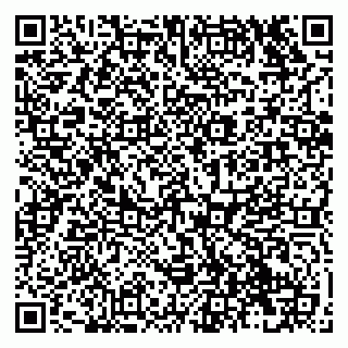 vCard 79138293175