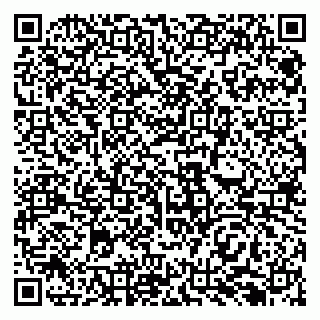 vCard 79138293176