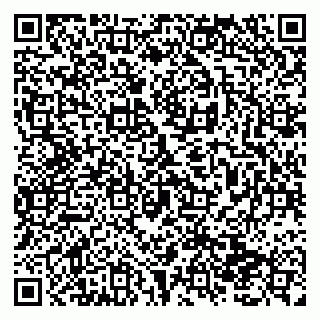 vCard 79138293178