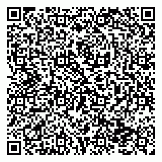 vCard 79138293181