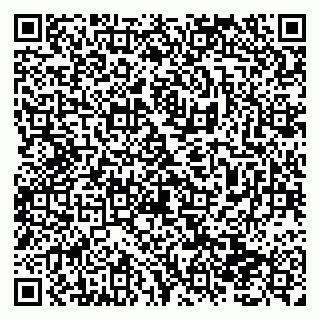 vCard 79138293182
