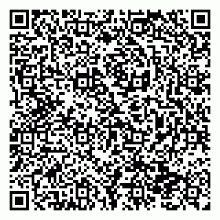 vCard 79138293183
