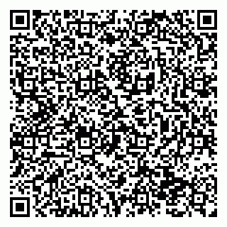 vCard 79138293187