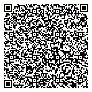 vCard 79138293189