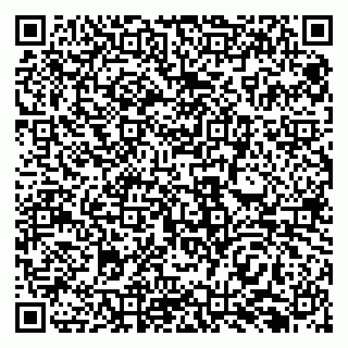 vCard 79138293191