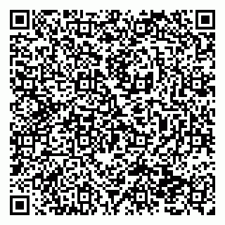 vCard 79138293197