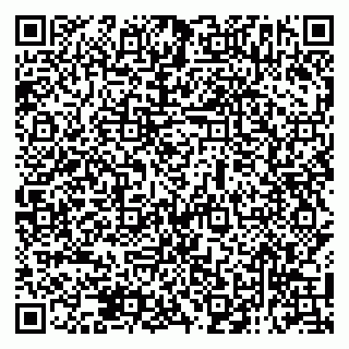 vCard 79138293200