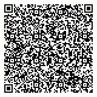 vCard 79138293221