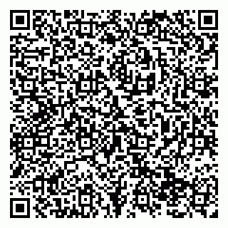 vCard 79138293231