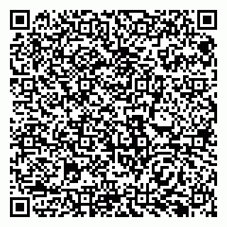 vCard 79138293233