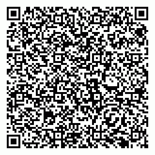 vCard 79138293234