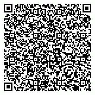 vCard 79138293235