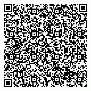 vCard 79138293236