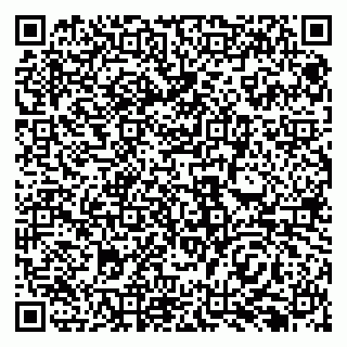 vCard 79138293237