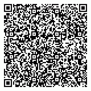 vCard 79138293239