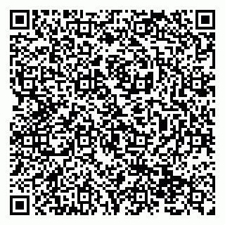 vCard 79138293267