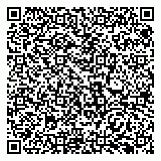 vCard 79138293274