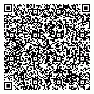 vCard 79138293276