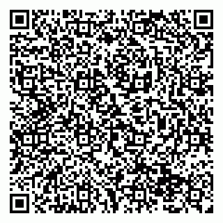 vCard 79138293284