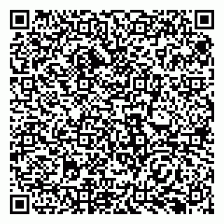 vCard 79138293285
