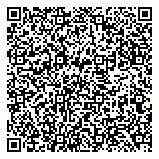 vCard 79138293286