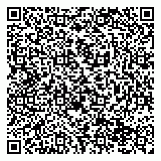 vCard 79138293288