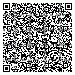 vCard 79138293289