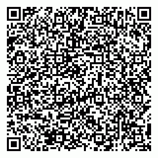 vCard 79138293291