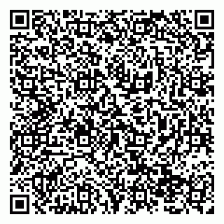 vCard 79138293293