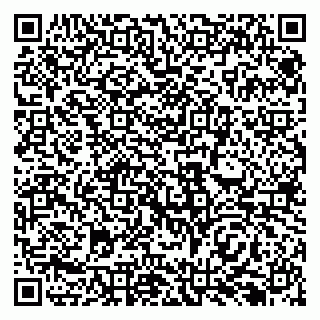 vCard 79138293294