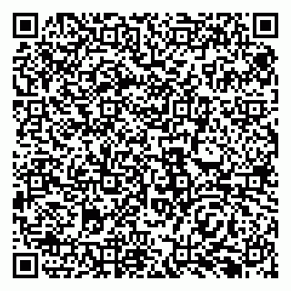 vCard 79138293295