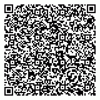 vCard 79138293299
