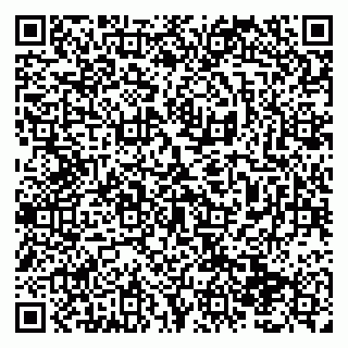 vCard 79138293302