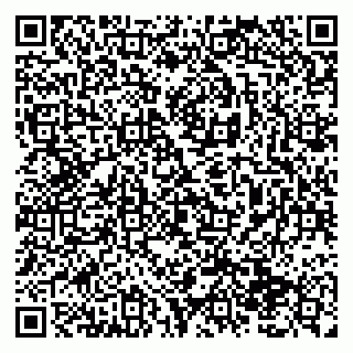 vCard 79138293303