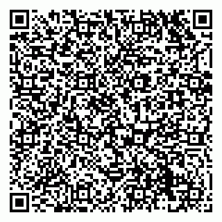 vCard 79138293304