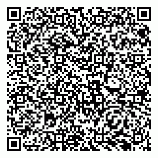 vCard 79138293306