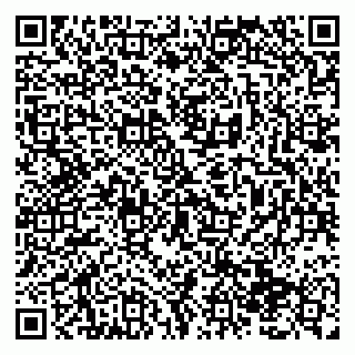 vCard 79138293307