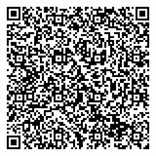 vCard 79138293308